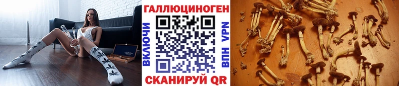 Псилоцибиновые грибы GOLDEN TEACHER  Железноводск 